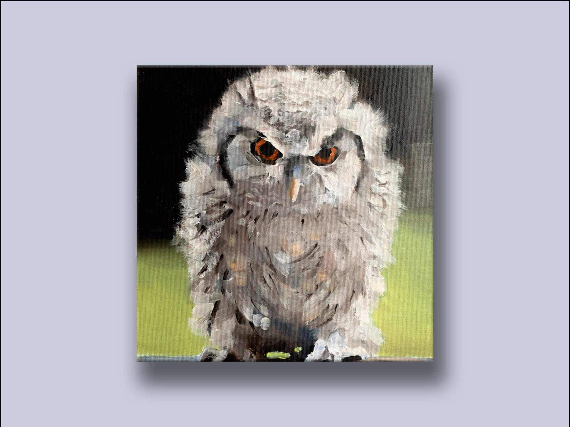 Little Owl Poster cheapest Painting canvas 20*30inch