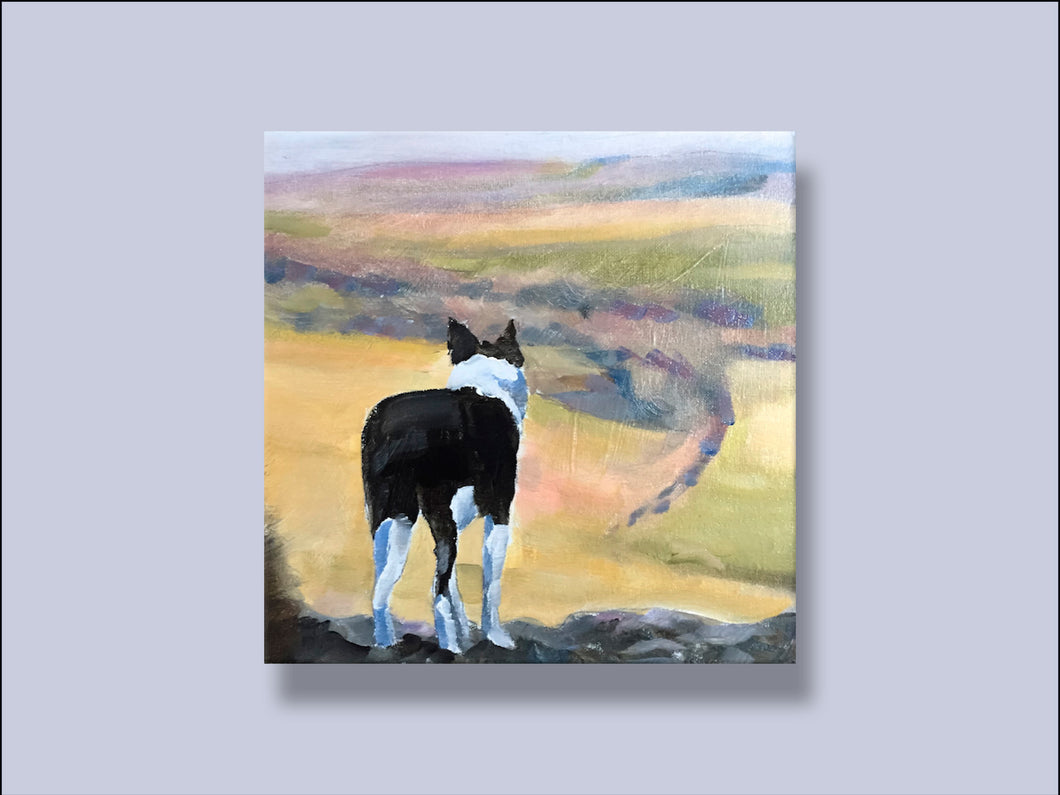 Collie Dog on Hillside - Canvas Wall Art Print