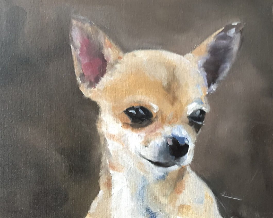 Chihuahua - Painting  -Dog art - Dog Prints - Fine Art - from original oil painting by James Coates