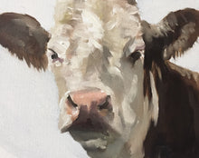 Load image into Gallery viewer, Cow Painting, Cow art, Cow Print, Fine Art - from original oil painting by James Coates
