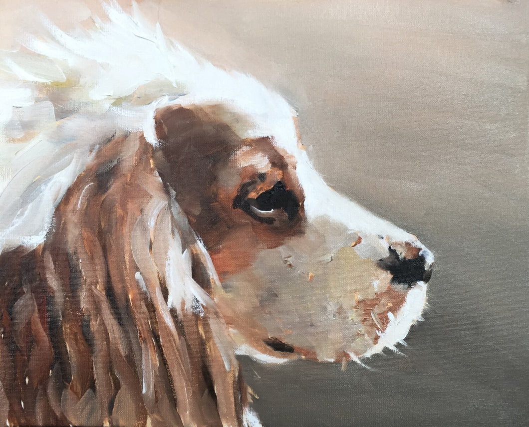 Spaniel Dog Painting, Prints, Canvas, Posters, Originals, Commissions, Fine Art - from original oil painting by James Coates