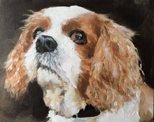 Load image into Gallery viewer, Cavalier Dog Painting, Print, Canvas, Posters, Originals, Commissions,  Fine Art - from original oil painting by James Coates
