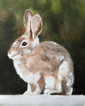 Load image into Gallery viewer, Rabbit - Painting - Poster - Wall art - Canvas Print - Fine Art - from original oil painting by James Coates
