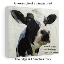 Load image into Gallery viewer, Cows Painting - Cow art - Cow Print - Fine Art - from original oil painting by James Coates
