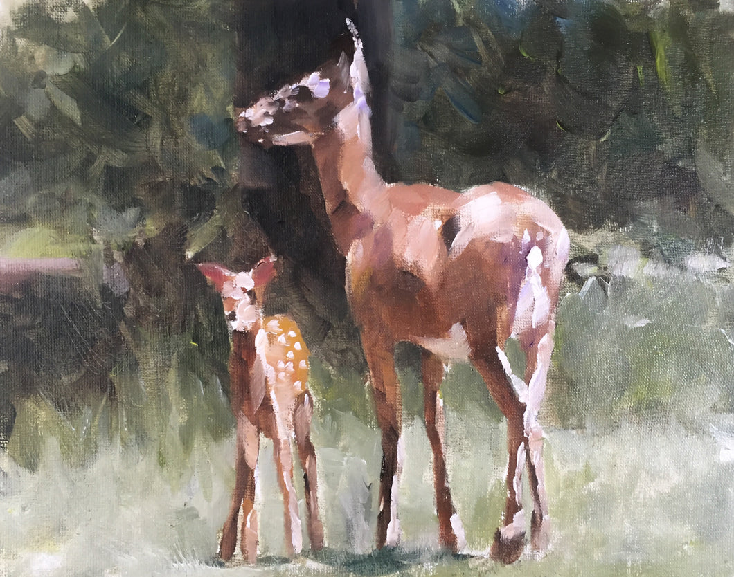 Deer Painting, Poster, Prints, originals, Commissions, Fine Art - from original oil painting by James Coates