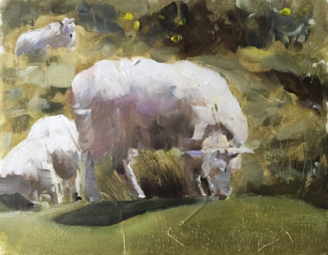Sheep Painting, Poster, Wall art,  Prints - Fine Art - from original oil painting by James Coates