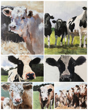 Load image into Gallery viewer, Cow Painting ,poster, Prints, Originals, Commissions - Fine Art - from original oil painting by James Coates
