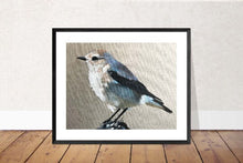 Load image into Gallery viewer, Bird Painting, Bird Poster , Bird Wall art, Bird Canvas, bird Print , Fine Art - from original oil painting by James Coates
