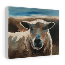 Load image into Gallery viewer, Sheep Painting, Sheep Poster, sheep Wall art, sheep Canvas Print, sheep Fine Art - from original oil painting by James Coates
