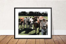 Load image into Gallery viewer, Cow Painting ,Cow art, Cow Print ,Fine Art - from original oil painting by James Coates
